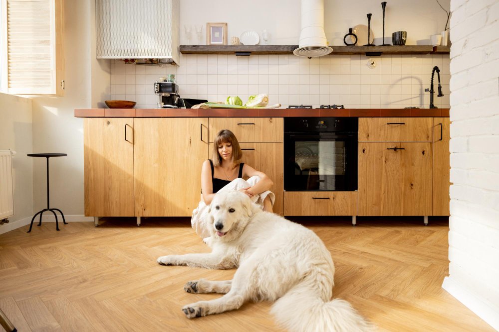 Best Flooring Options for Pet-Friendly Home Renovations